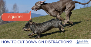 cut down distractions